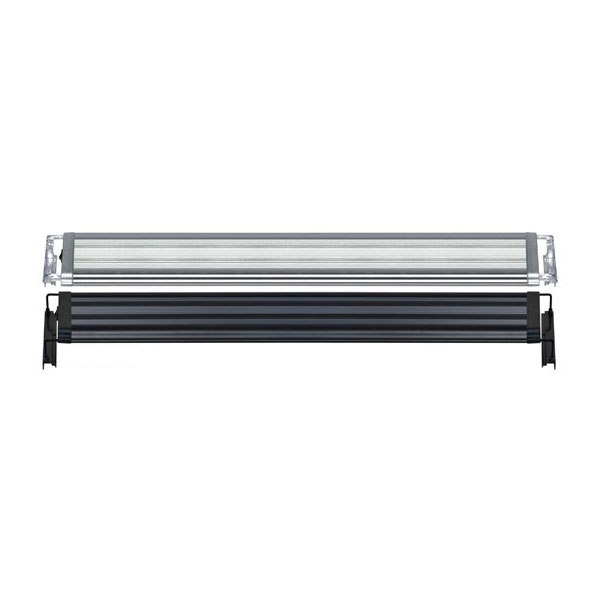 Cветильник Dophin LED Double, 2Вт, белый+синий свет