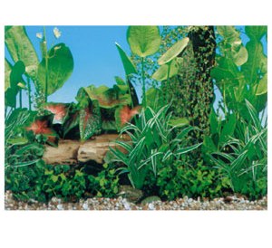 Фон односторонний Травянистый CL-C140090, 90см