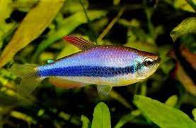 D  ExportImages images (1).