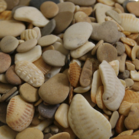 Галька каспийская Ракушечник, 1кг