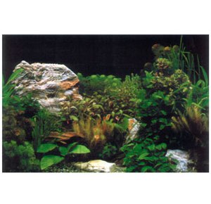 Фон односторонний Растения и белый камень CL-C420099, 100см