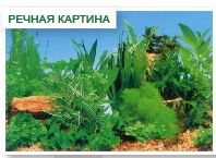 Фон односторонний Речная картина CL-C150099, 100см
