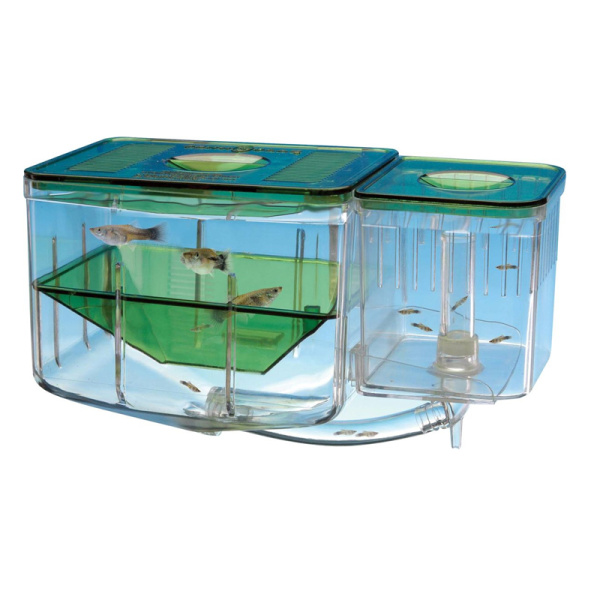 Отсадник для рыб PennPlax двухсекционный 15х10х12см, пластиковый