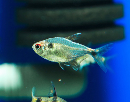 D  ExportImages 2N6B6843.