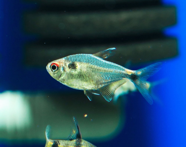 D  ExportImages 2N6B6843.