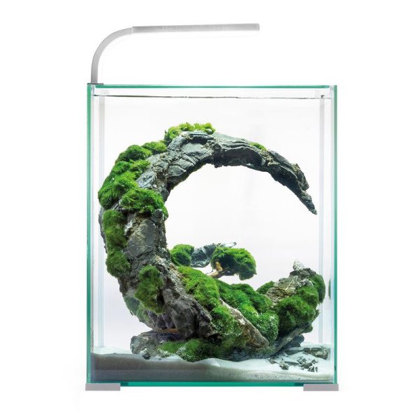 D  ExportImages 122981_front 1.