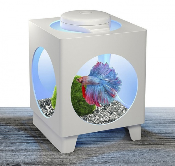 Tetra светильник LED для аквариума Betta Projector