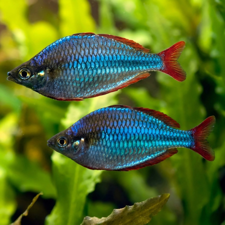 1774028982758-9hpxqc8lgas